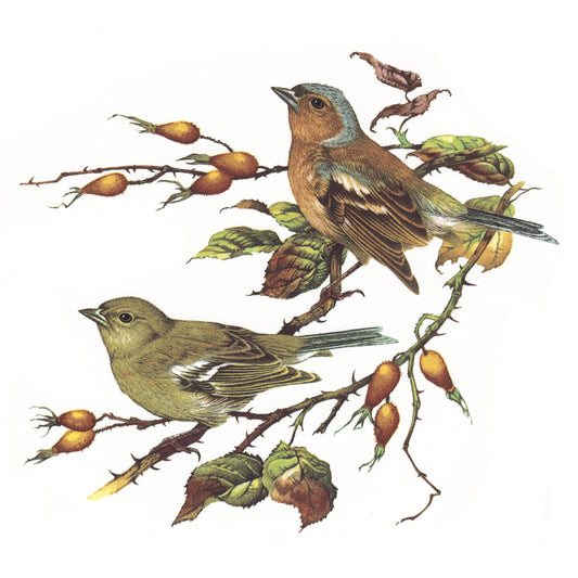 Sparrow Birds in the Woods Overglaze Ceramic Decals