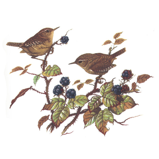 Wren Birds in the Woods Overglaze Ceramic Decals