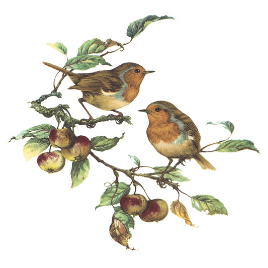 Robin Birds in the Woods Overglaze Ceramic Decals
