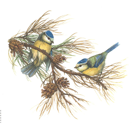 Bluebird Birds in the Woods Overglaze Ceramic Decals