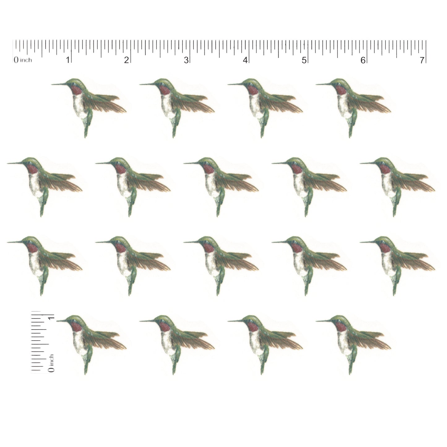 Ruby Throated Hummingbirds 18 pcs 1 Inch Waterslide Ceramic Decals