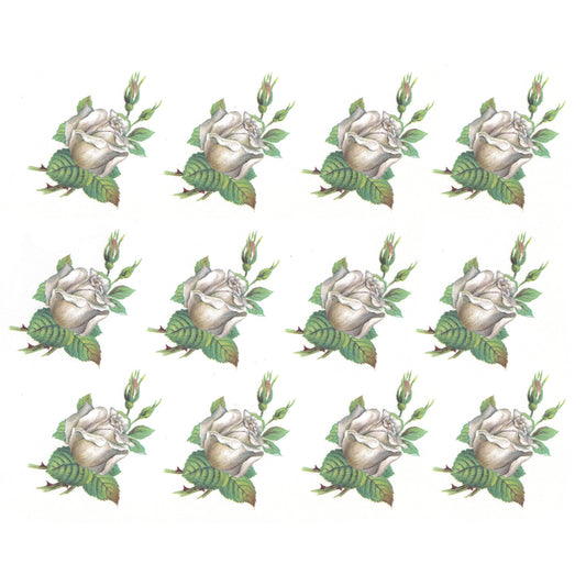 White Rose Single Flower Overglaze Waterslide Ceramic Decals
