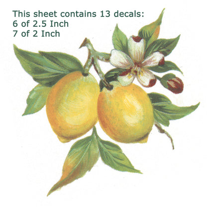 Lemons on the Branch Style E Overglaze Waterslide Ceramic Decal