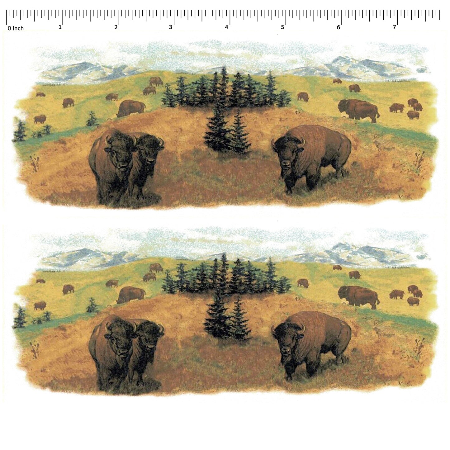 Buffalo Wrap Wraparound 2 pcs 7.75 x 3 Inch Overglaze Waterslide Ceramic Decal