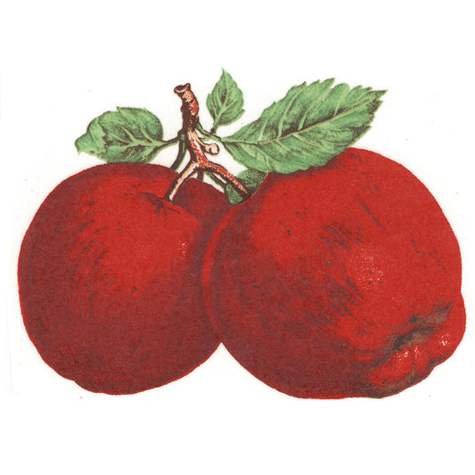 Pair of Red Apples Overglaze Ceramic Decals