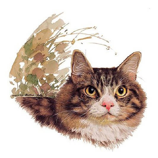 Gray Tabby Cat Overglaze Ceramic Decals