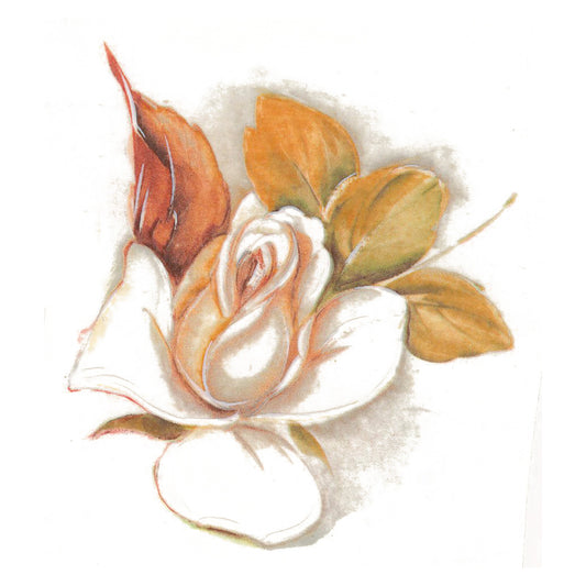 White Yellow Rose Flower Single Overglaze Ceramic Decals