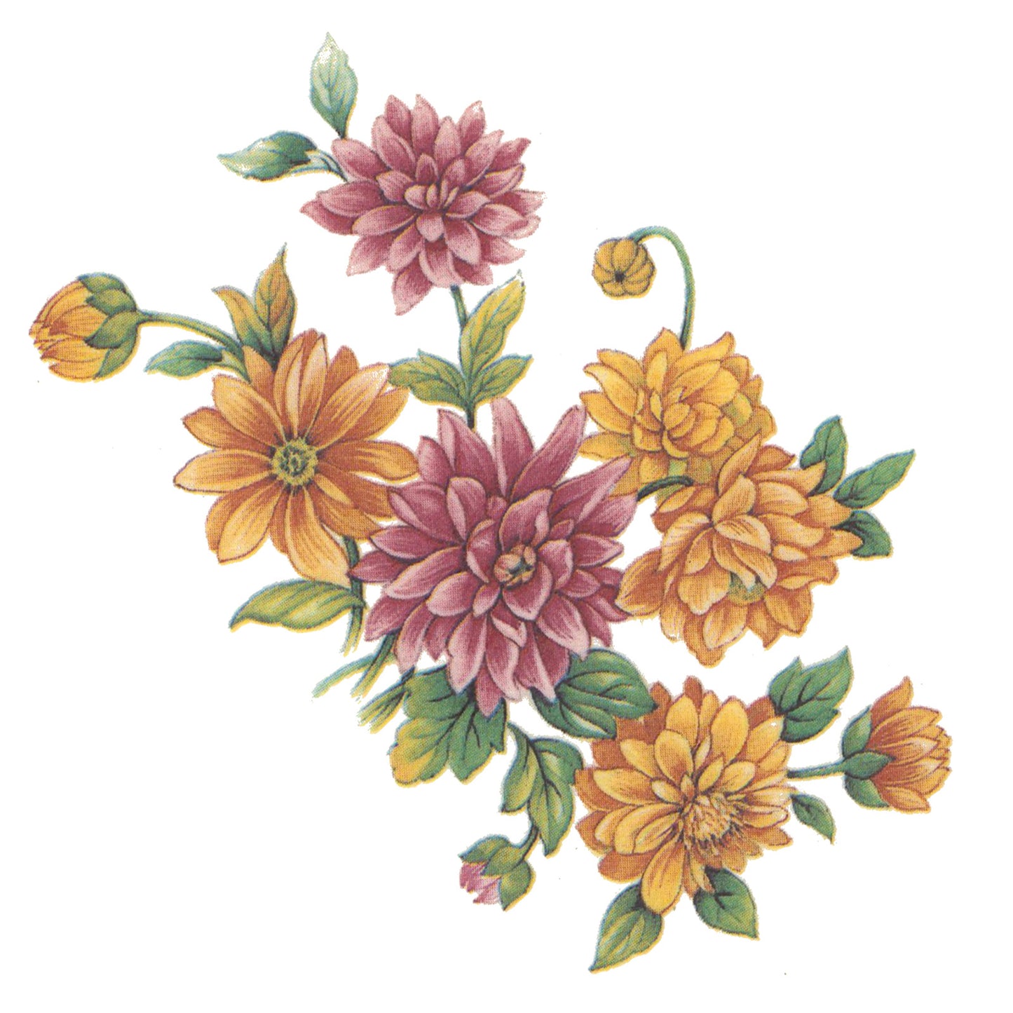 Chrysanthemum Flower Overglaze Waterslide Ceramic Decals