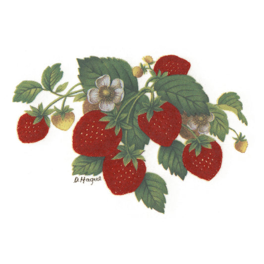 Bundle of Strawberries Overglaze Waterslide Ceramic Decals