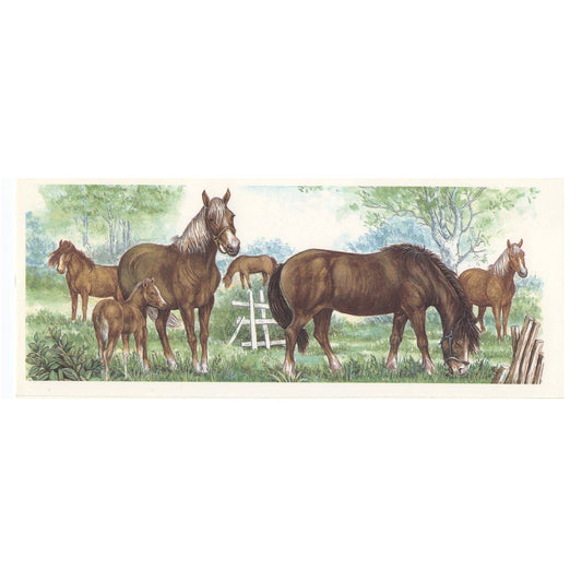 Horses on the Ranch Mug Wrap 2 pcs D Overglaze Waterslide Ceramic Decals