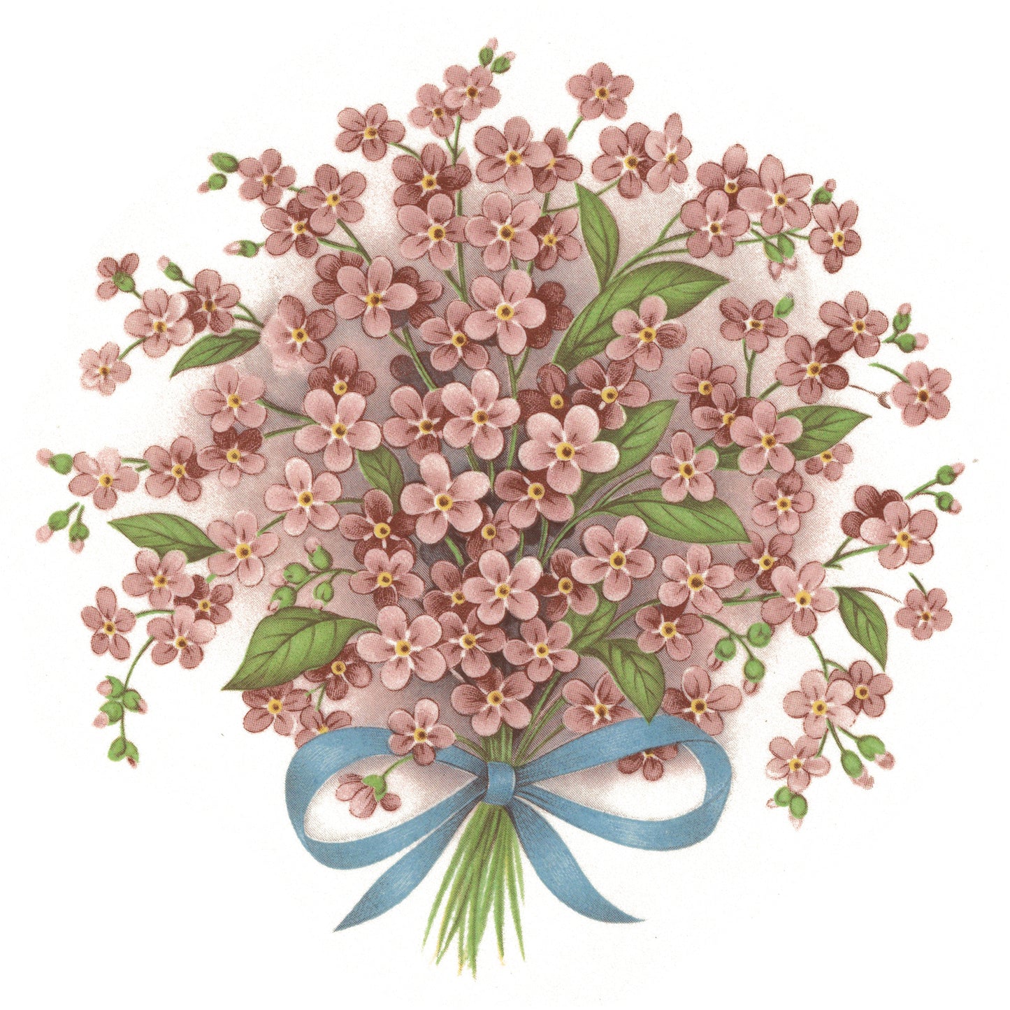 Forget Me Not Knot Pink Flowers Overglaze Ceramic Decals