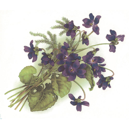 Violets Purple Fern Green Flowers Overglaze Ceramic Decals