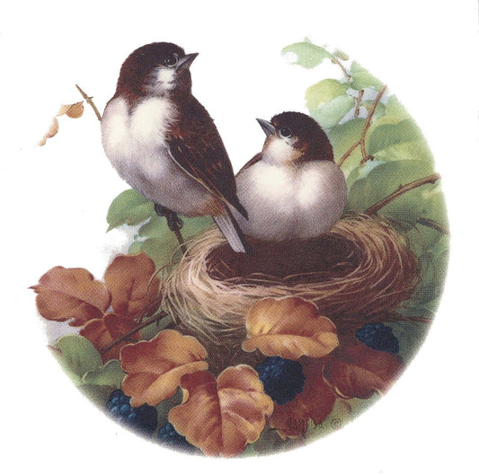 Chickadee Birds Nest Overglaze Waterslide Ceramic Decals