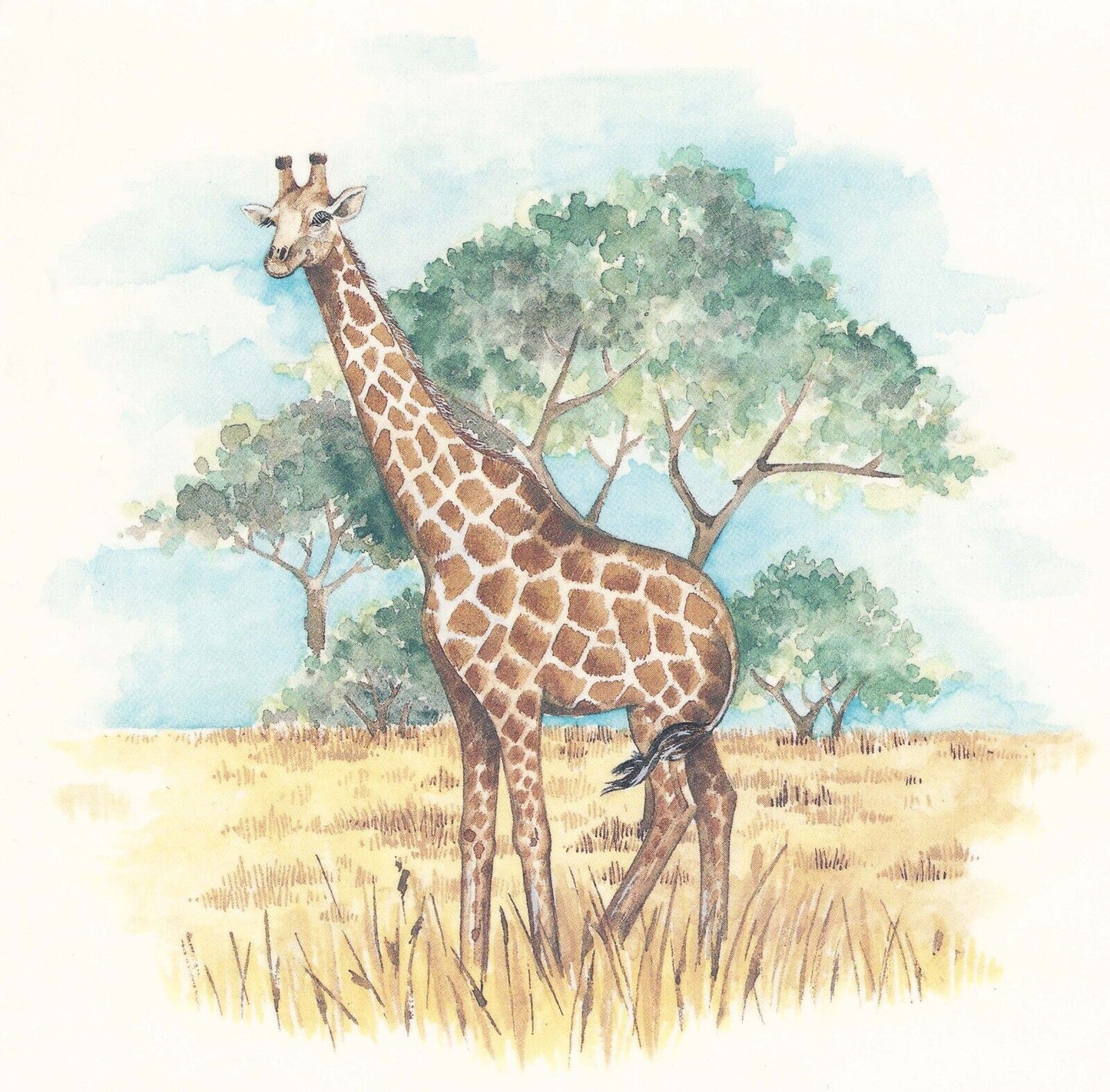 Giraffe African Landscape Waterslide Ceramic Decals