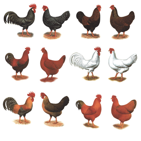 Rooster Hen 12 pc Set Select-A-Size Overglaze Waterslide Ceramic Decals