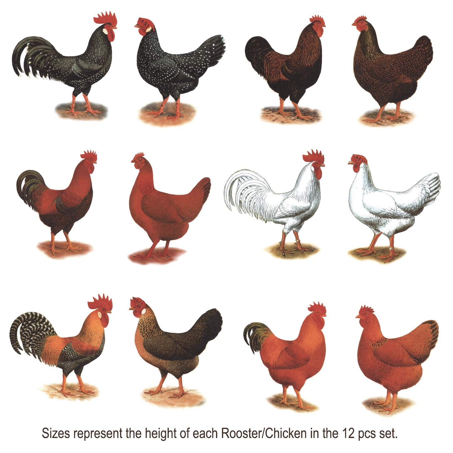 Rooster Hen 12 pc Set Select-A-Size Overglaze Waterslide Ceramic Decals