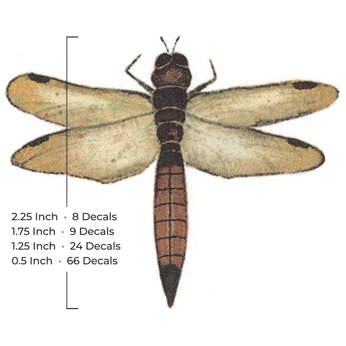 Dragonfly Dragonflies Brown Black Overglaze Waterslide Ceramic Decals