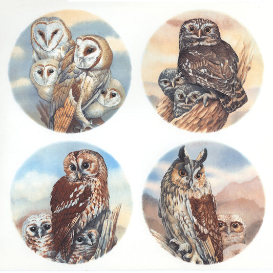 Owl Barn Little Long Eared Tawny Bird Overglaze Waterslide Ceramic Decals