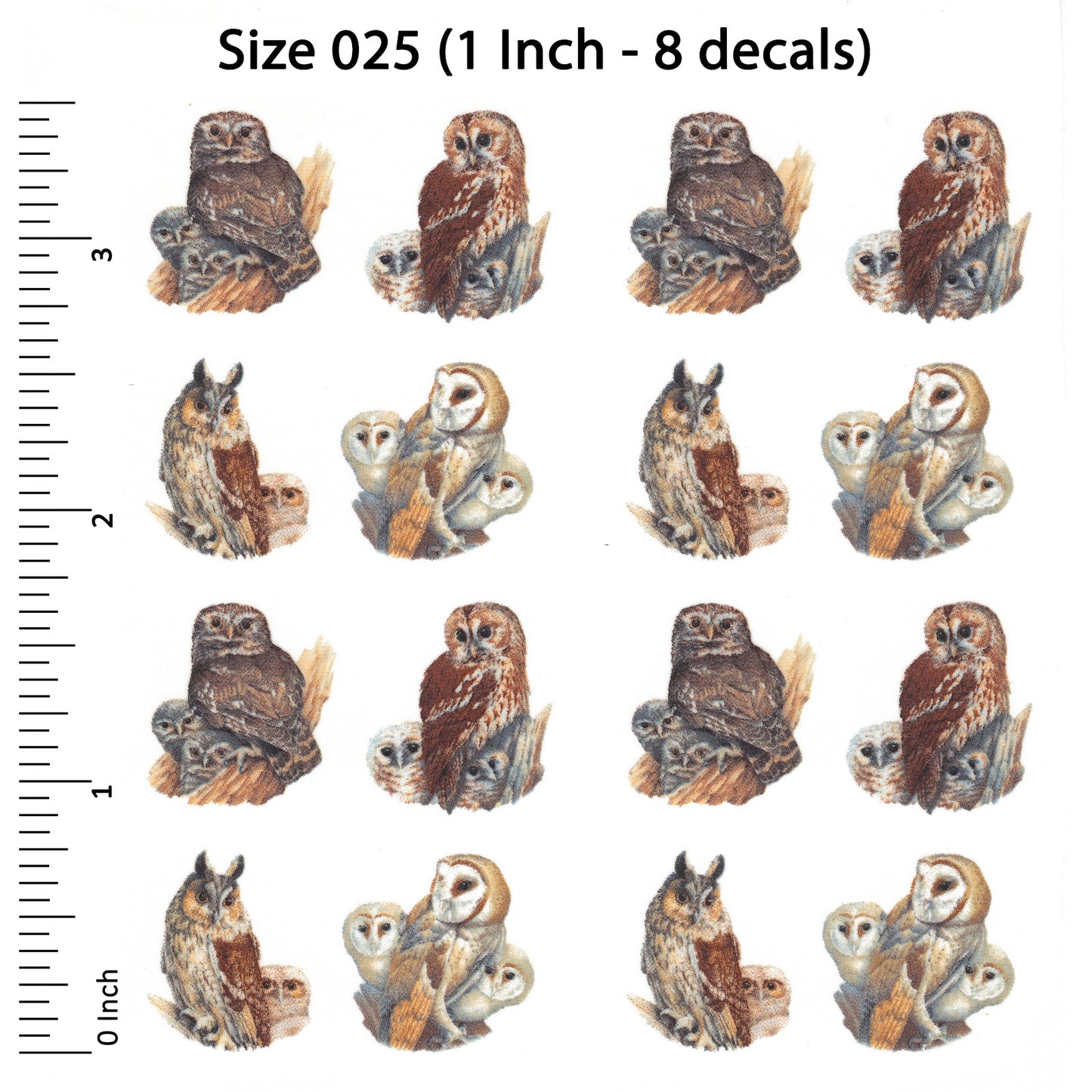 Owl Barn Little Long Eared Tawny Bird Overglaze Waterslide Ceramic Decals