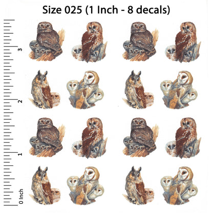 Owl Barn Little Long Eared Tawny Bird Overglaze Waterslide Ceramic Decals