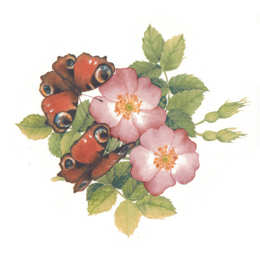 Red Garden Butterflies Overglaze Waterslide Ceramic Decals
