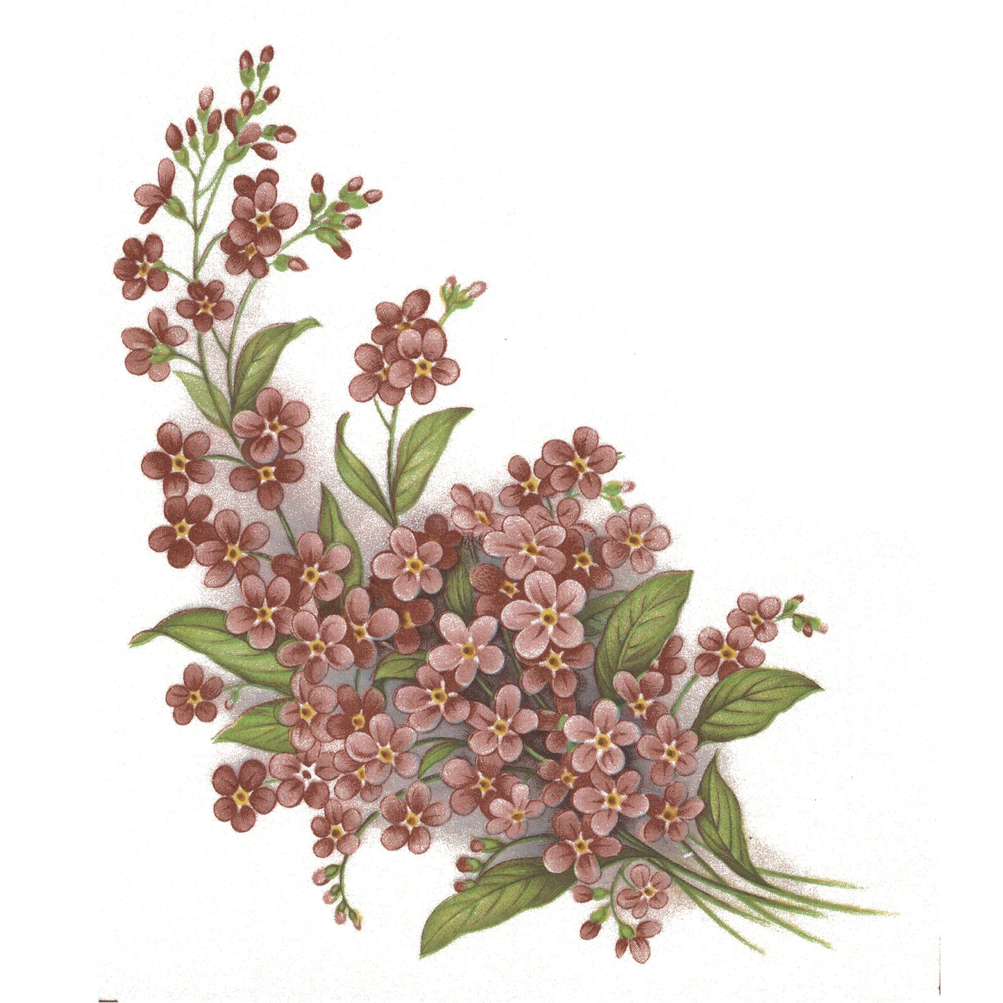 Forget Me Not Peach Pink Flowers Select-A-Size Ceramic Waterslide Decals