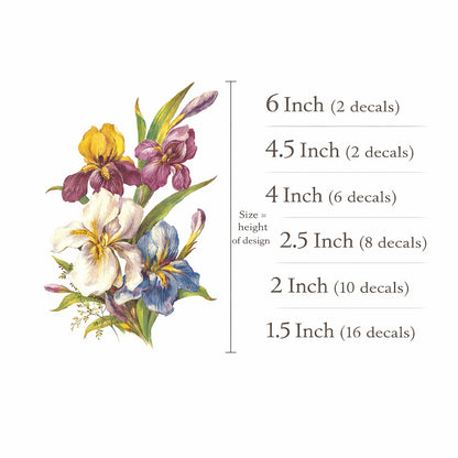 Flowers Iris Overglaze Ceramic Decals