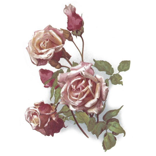 Flowers Pink Rose Overglaze Ceramic Decals