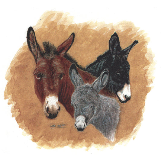Trio of Donkeys Overglaze Ceramic Decals