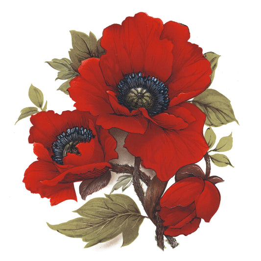 Red Poppy Flower Rounds Overglaze Ceramic Decals