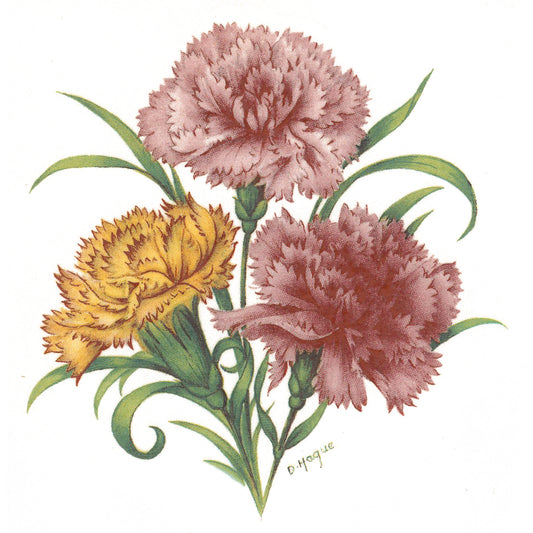 Flower of the Month January Carnation Overglaze Ceramic Waterslide Decals