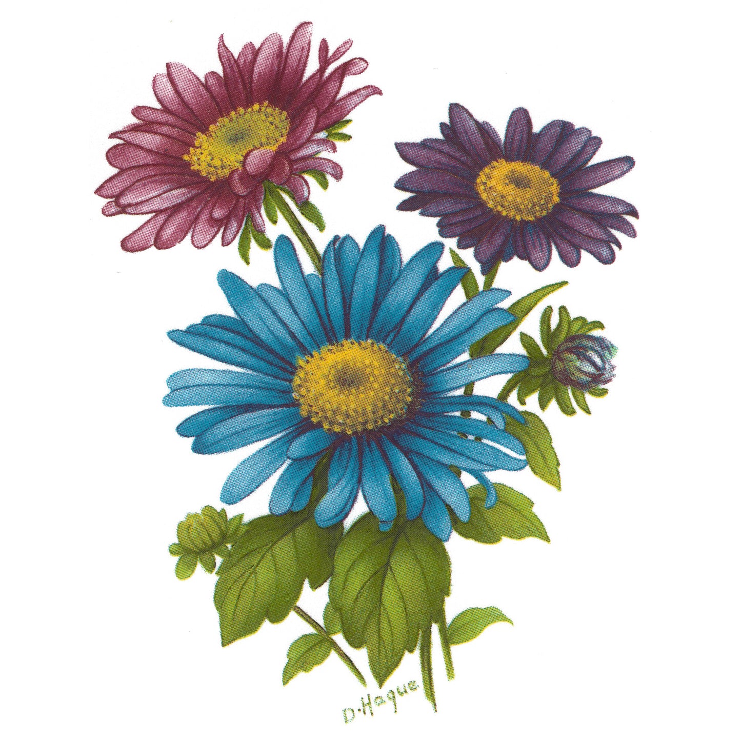 Flower of the Month September Asters Overglaze Waterslide Ceramic Decals