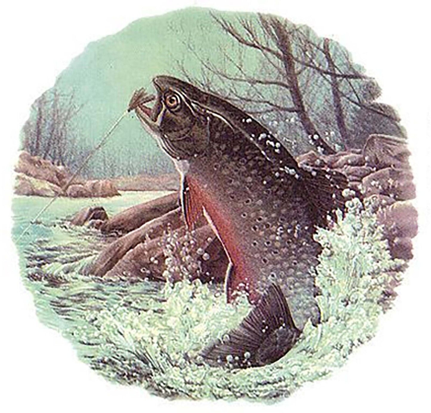 Trout Fly Fishing River Overglaze Waterslide Ceramic Decals