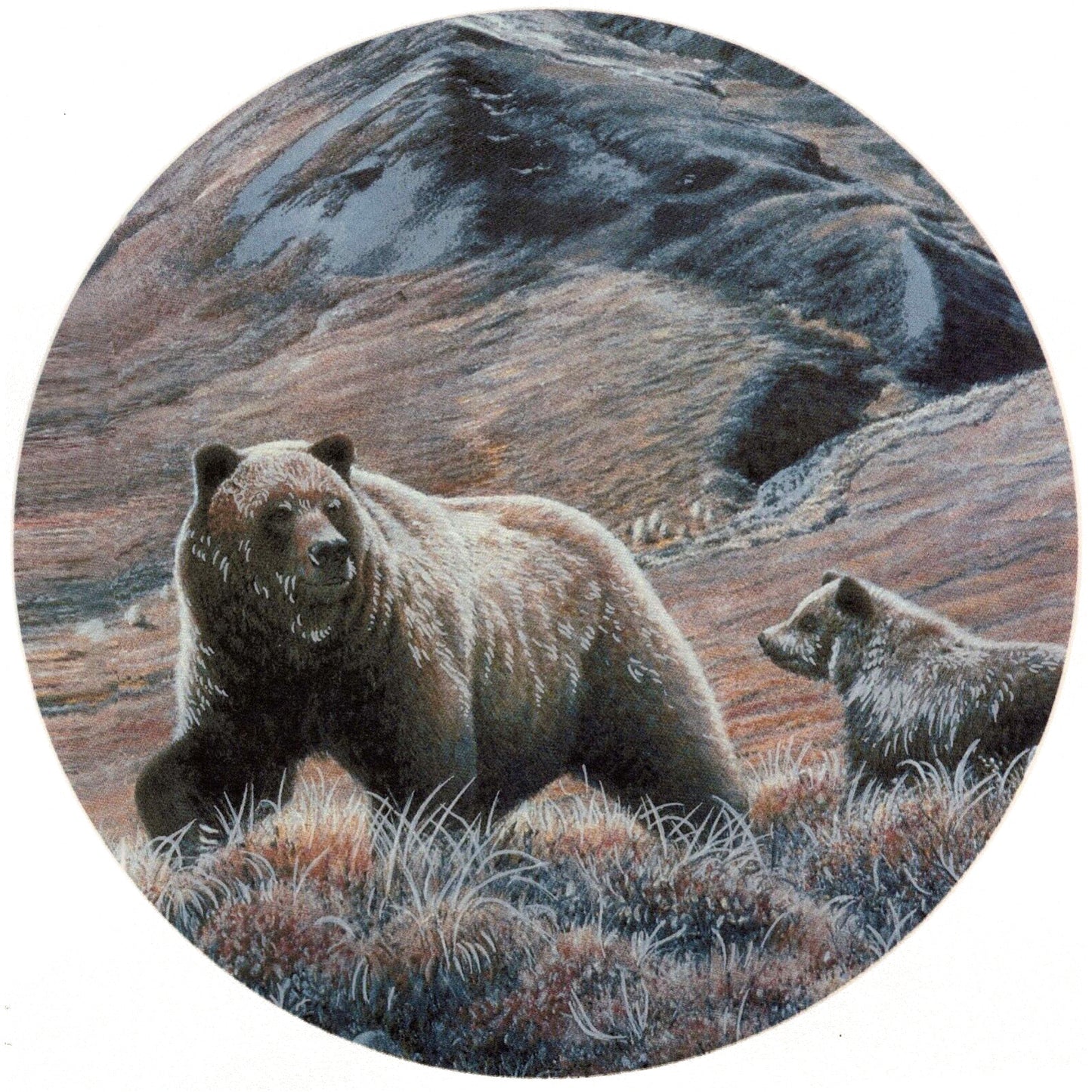 Brown Bear Mountain Overglaze Waterslide Ceramic Decals