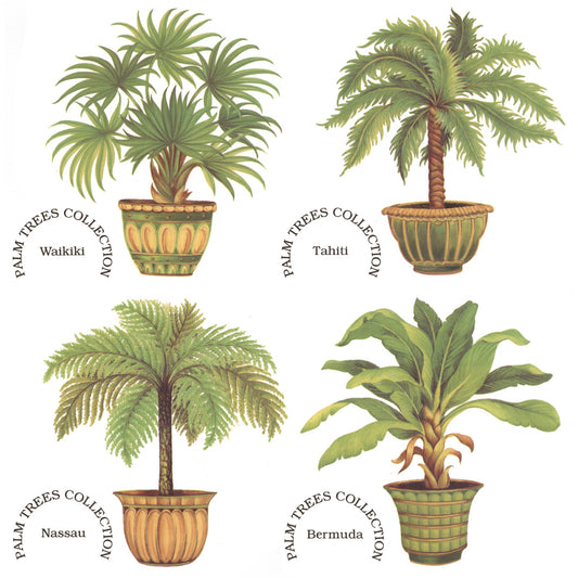 Potted Palm Tree Plants Overglaze Waterslide Ceramic Decals