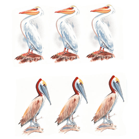 Pelican Overglaze Ceramic Decals