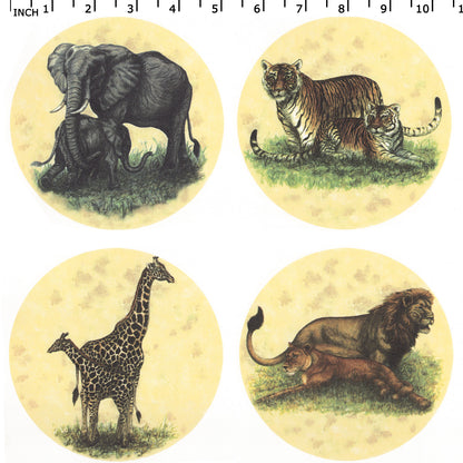 Safari Animals Set Lion Tiger Elephant Giraffe Overglaze Ceramic Decals