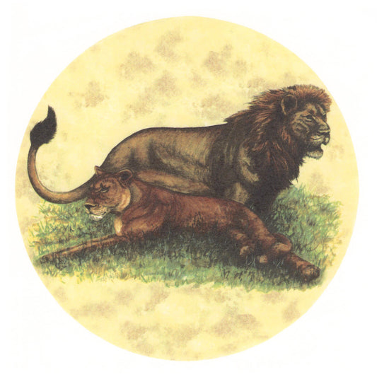 Lion Safari Overglaze Ceramic Decals