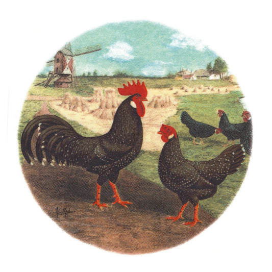 Ancona Rooster and Hen Overglaze Ceramic Decals