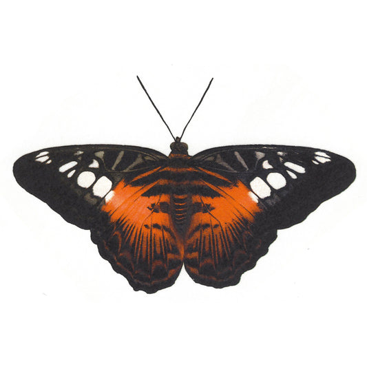 Spotted Tiger Butterfly Select-A-Size Overglaze Waterslide Ceramic Decals