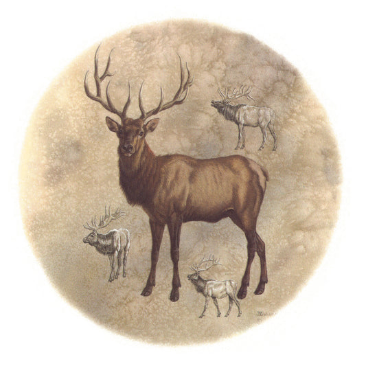 Elk Animal Overglaze Waterslide Ceramic Decals