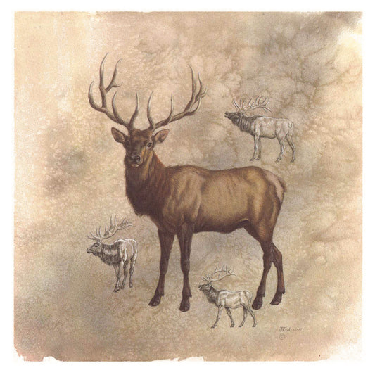 Elk Animal Tile Overglaze Waterslide Ceramic Decals