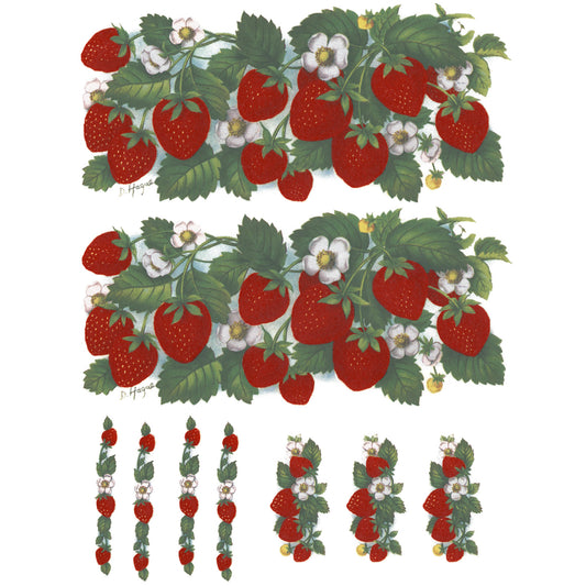 Strawberry Wraps Wraparound 7 Inch 2 pcs Overglaze Waterslide Ceramic Decal