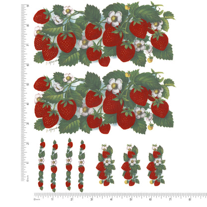 Strawberry Wraps Wraparound 7 Inch 2 pcs Overglaze Waterslide Ceramic Decal