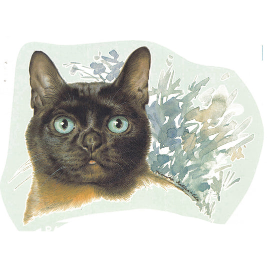 Brown Burmese Cat Overglaze Ceramic Decals
