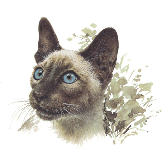 Siamese Cat Overglaze Ceramic Decals