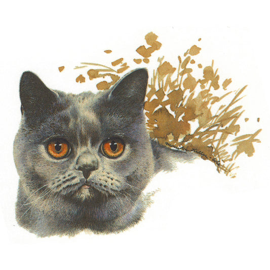 Black Bombay Cat Yellow Eyes Overglaze Ceramic Decals