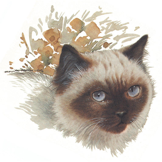 Ragdoll Cat Blue Eyes Waterslide Ceramic Decals