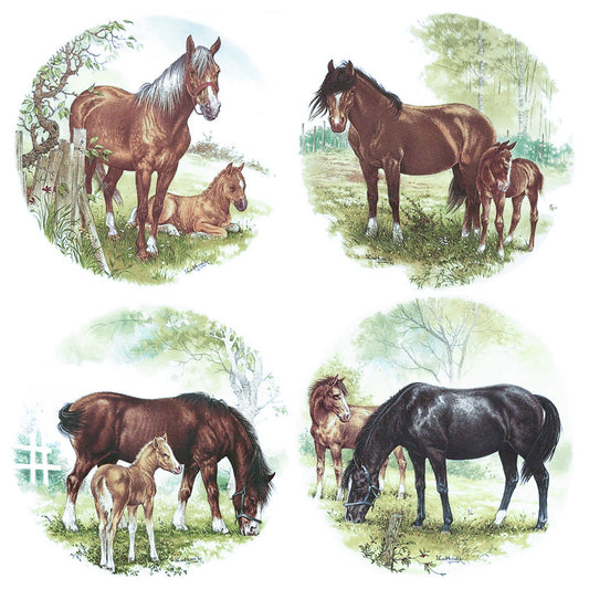 Horse Colt 4 pc Set Overglaze Waterslide Ceramic Decals