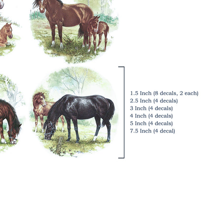 Horse Colt 4 pc Set Overglaze Waterslide Ceramic Decals